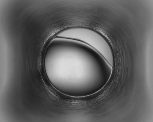 X0000087310677200704200718