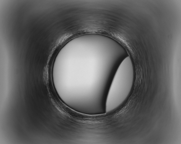X0000087310678200704200718