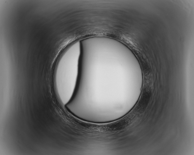 X0000087310679200704200718