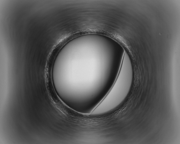 X0000087310680200704200718