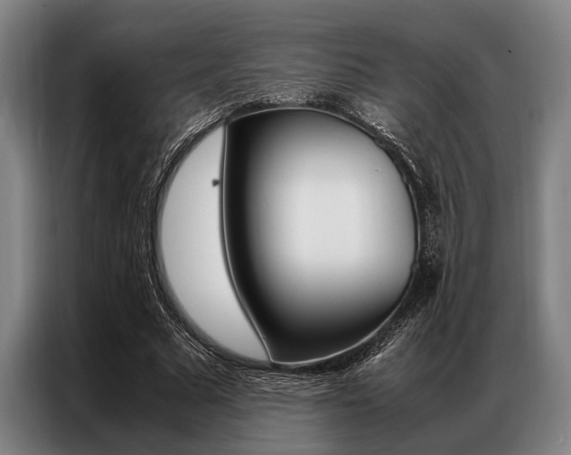 X0000087310681200704200718