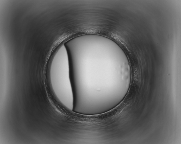 X0000087310682200704200718