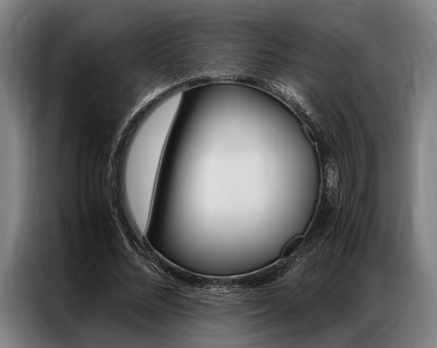 X0000087310684200704200718