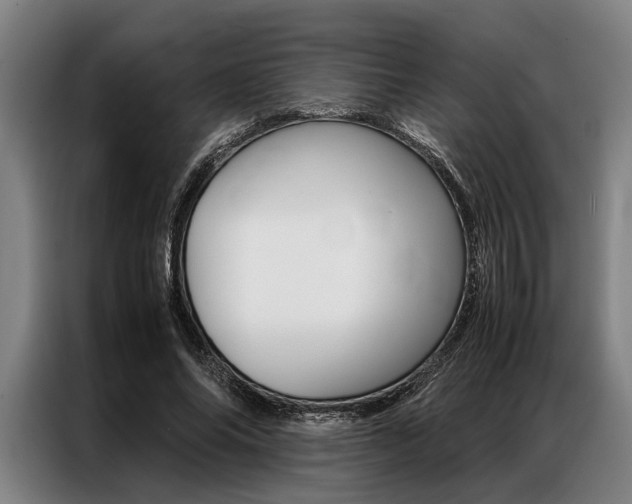 X0000087310686200704200718