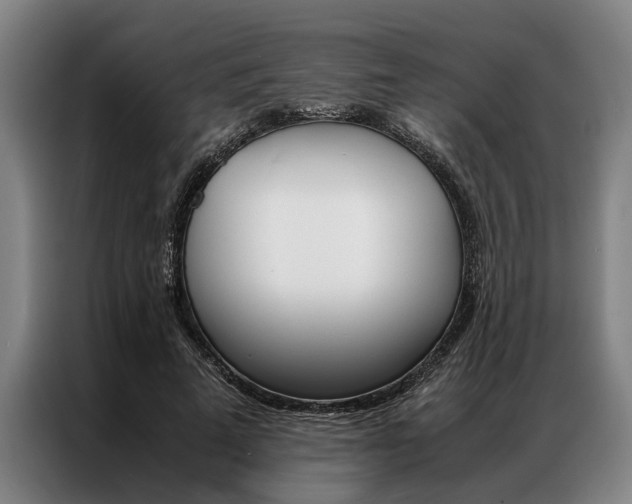 X0000087310689200704200718