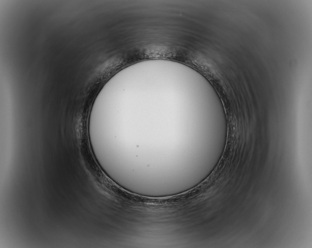 X0000087310690200704200718