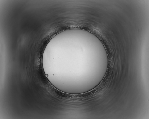 X0000087310691200704200718