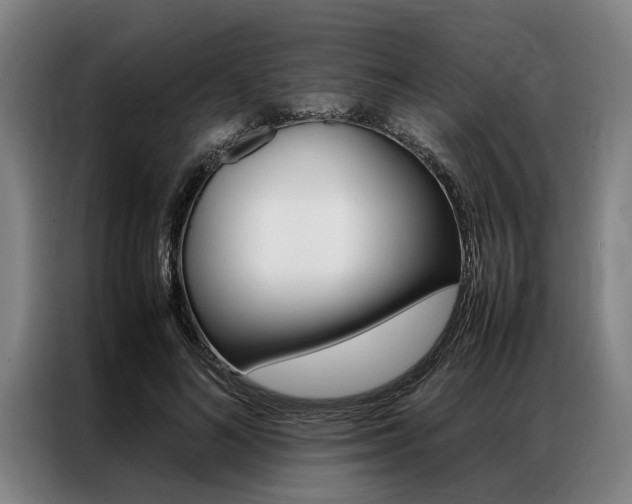 X0000087310692200704200718
