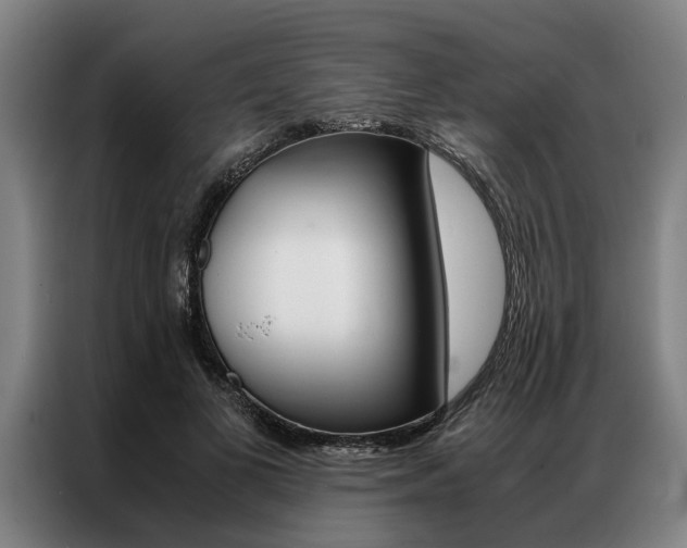 X0000087310693200704200718