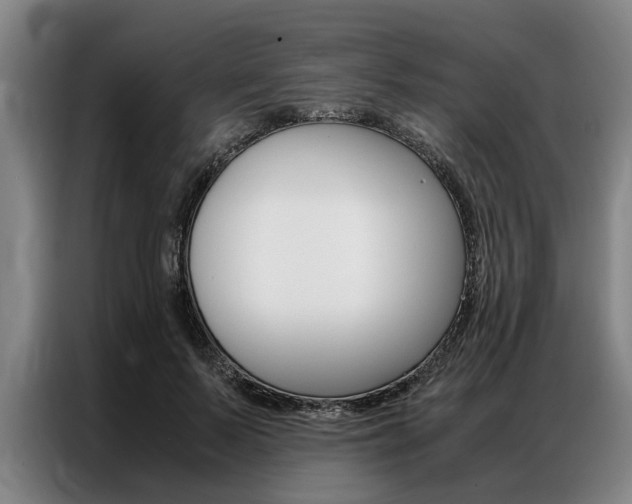 X0000087310695200704200718
