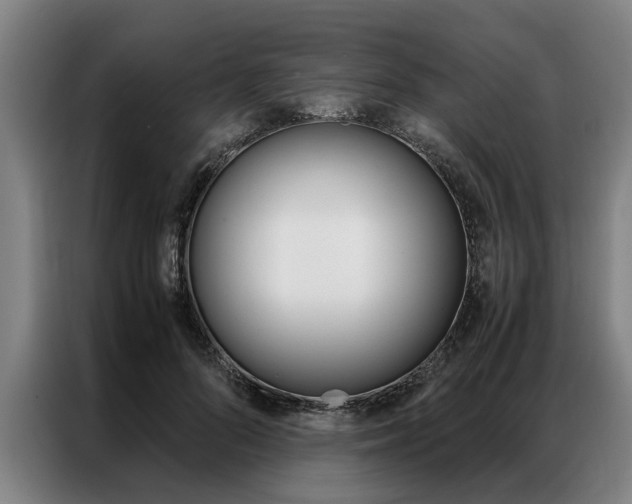 X0000087310696200704200718