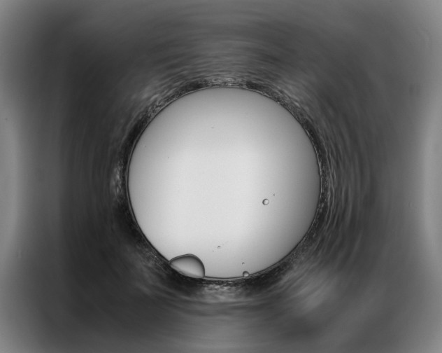 X0000087310699200704200718