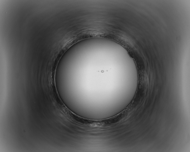 X0000087310700200704200718