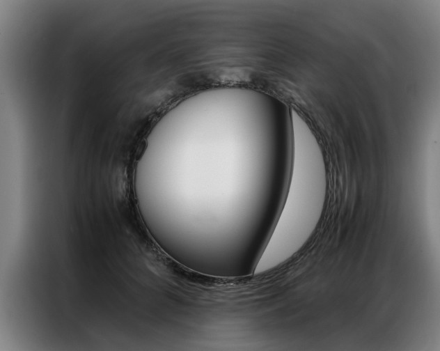 X0000087310704200704200718