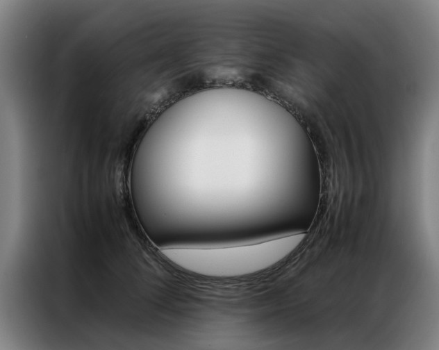 X0000087310708200704200718