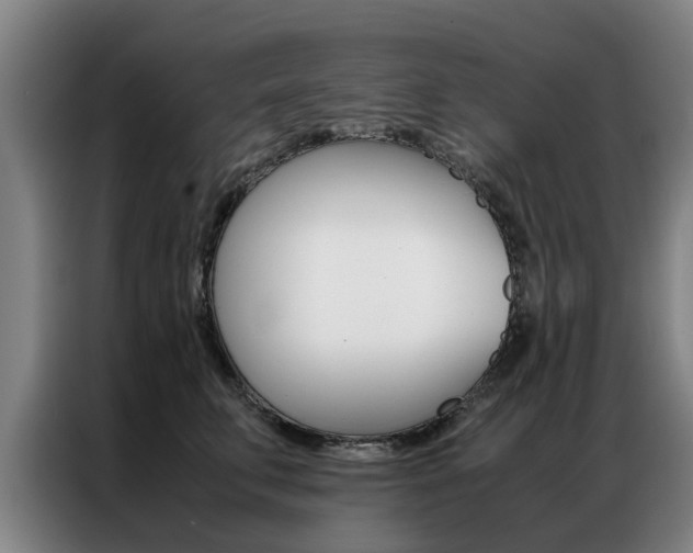 X0000087310711200704200718