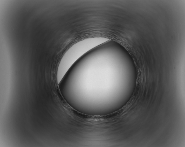 X0000087310712200704200718