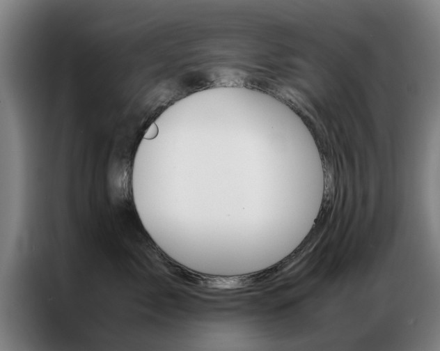 X0000087310717200704200718