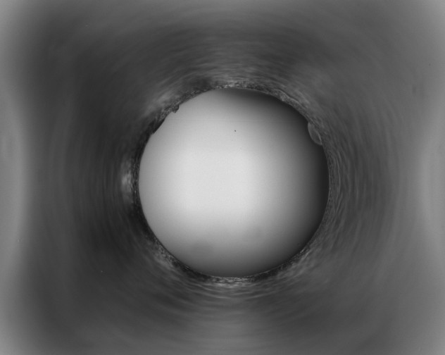 X0000087310720200704200718