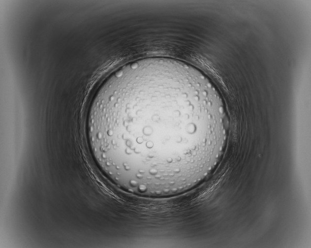 X0000087310721200704200717