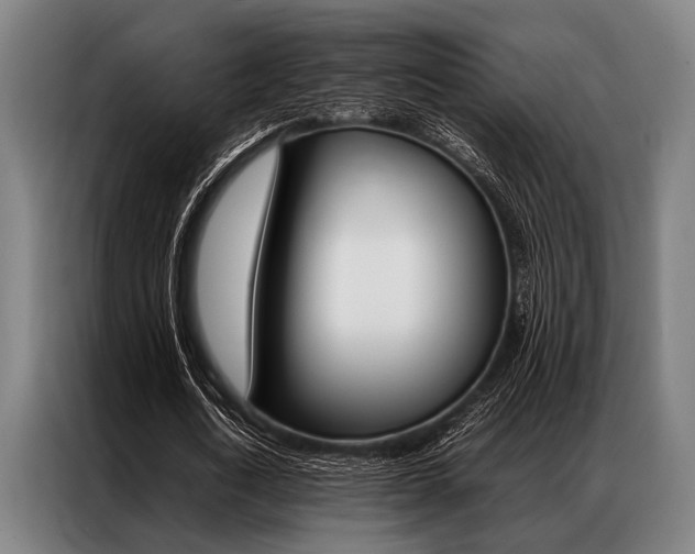 X0000087310722200704200717