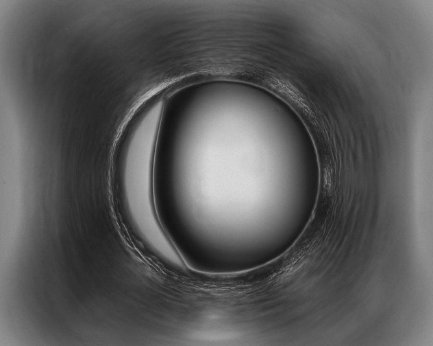 X0000087310724200704200717
