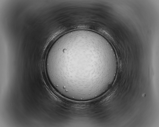 X0000087310725200704200717