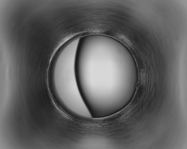 X0000087310726200704200717