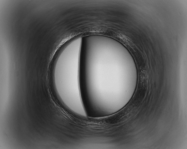 X0000087310727200704200717