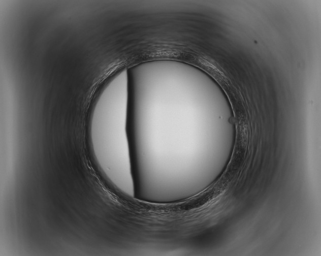 X0000087310729200704200717