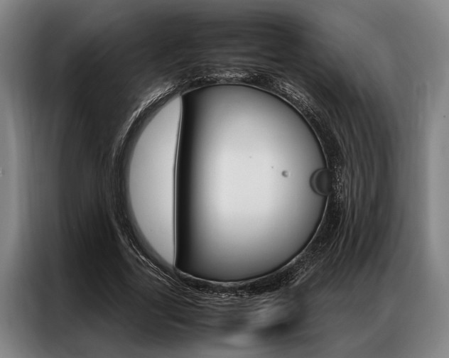 X0000087310731200704200717