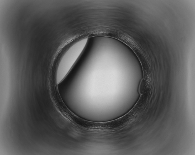 X0000087310732200704200717