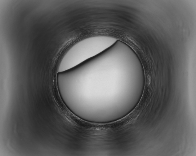 X0000087310733200704200717