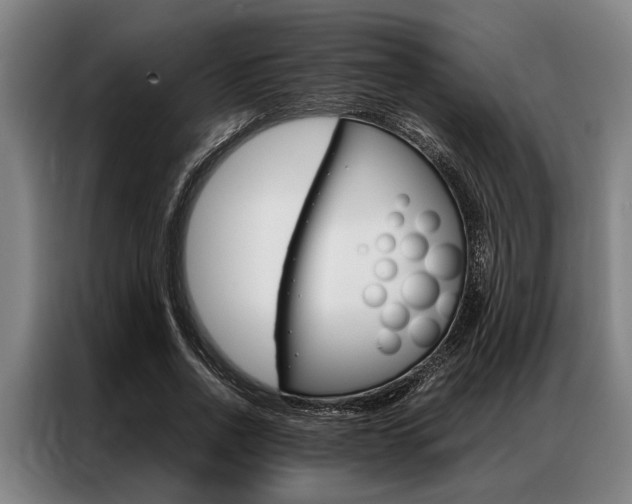 X0000087310734200704200717