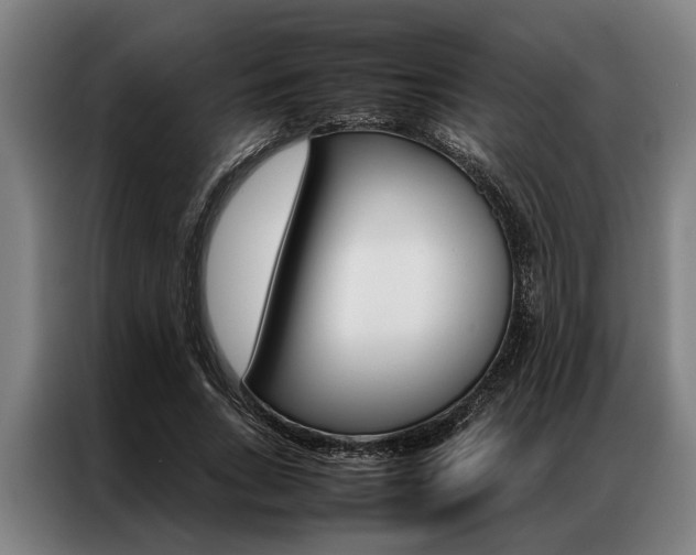 X0000087310735200704200717