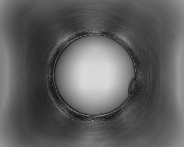 X0000087310736200704200717