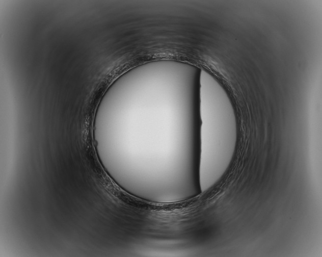 X0000087310737200704200717