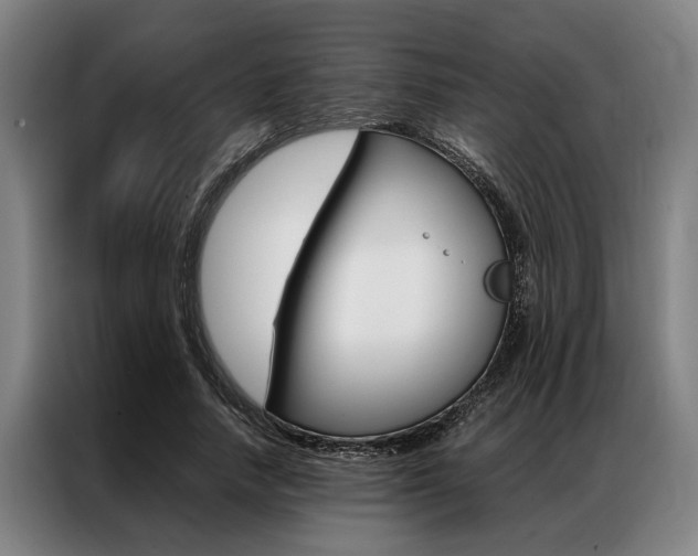 X0000087310738200704200717