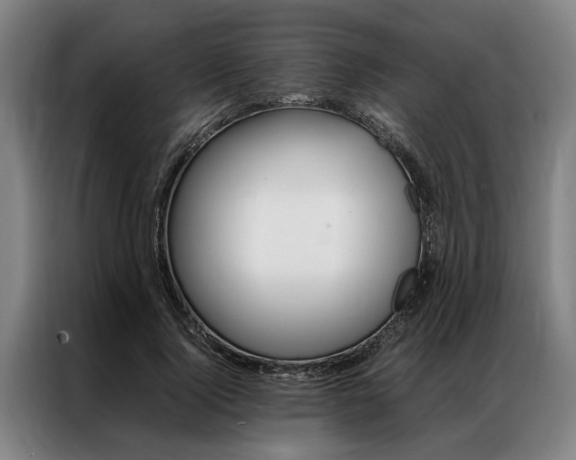 X0000087310740200704200717