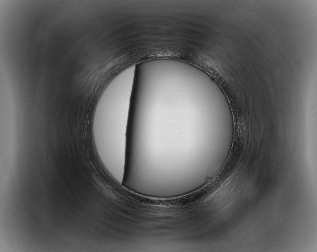 X0000087310741200704200717
