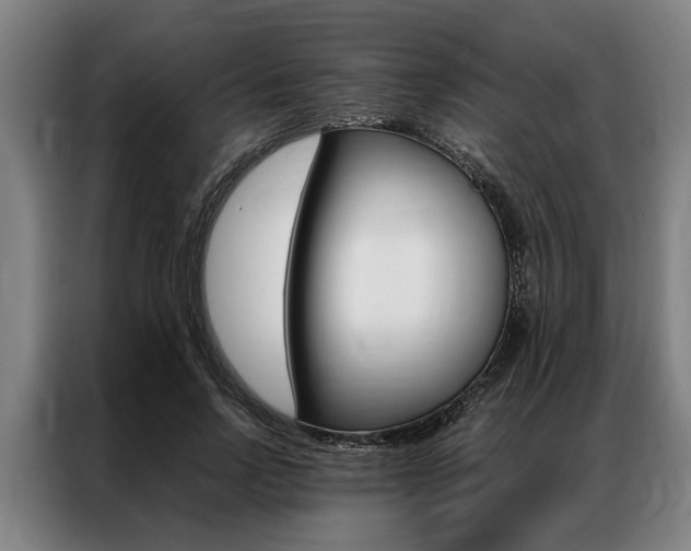 X0000087310742200704200717