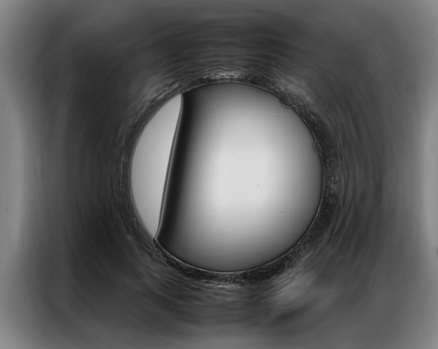 X0000087310743200704200717
