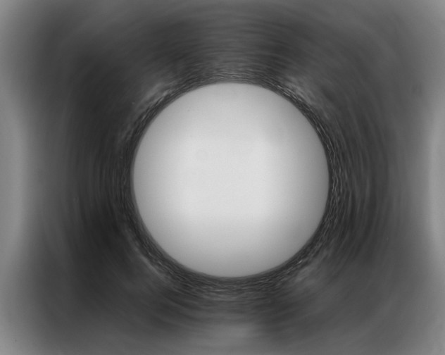 X0000087310744200704200717
