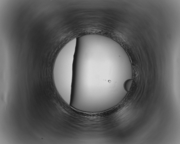 X0000087310745200704200717