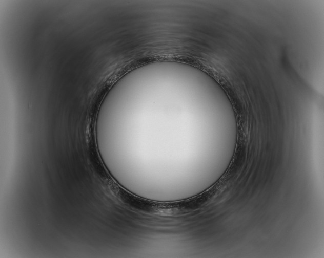 X0000087310746200704200717