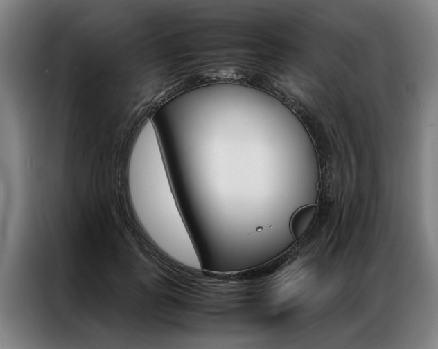 X0000087310747200704200717