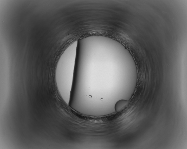 X0000087310749200704200718