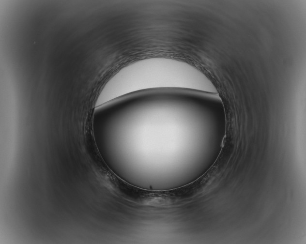 X0000087310750200704200718