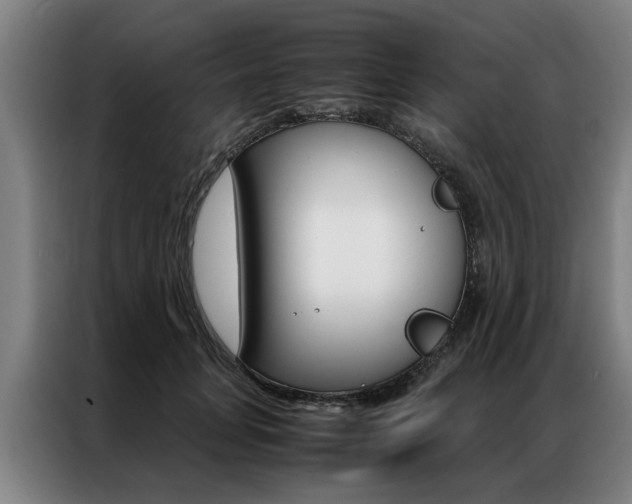 X0000087310751200704200718