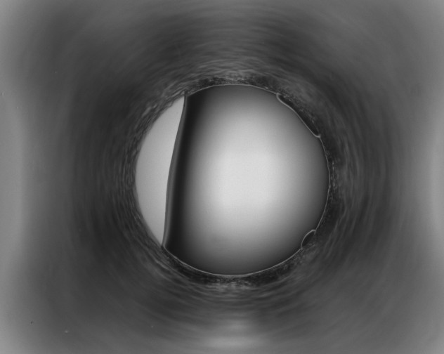 X0000087310752200704200718
